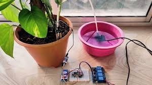 Building Smart  Autonomous Plant Watering System Project